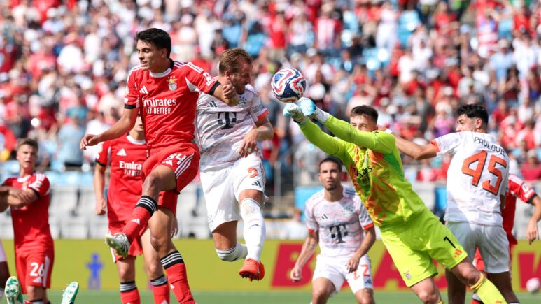 Botafogo win 2x1